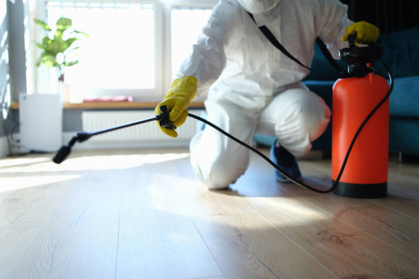 Reliable Hoarding Cleanup contractor in Ashford, WA by Crime Scene Cleaner Online