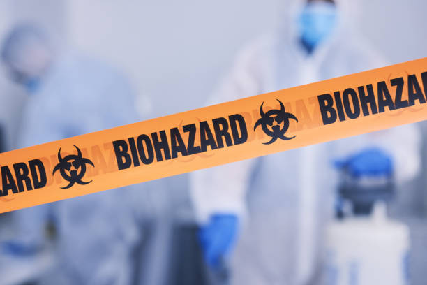 Professional Hoarding Cleanup technician working in Ashford, WA